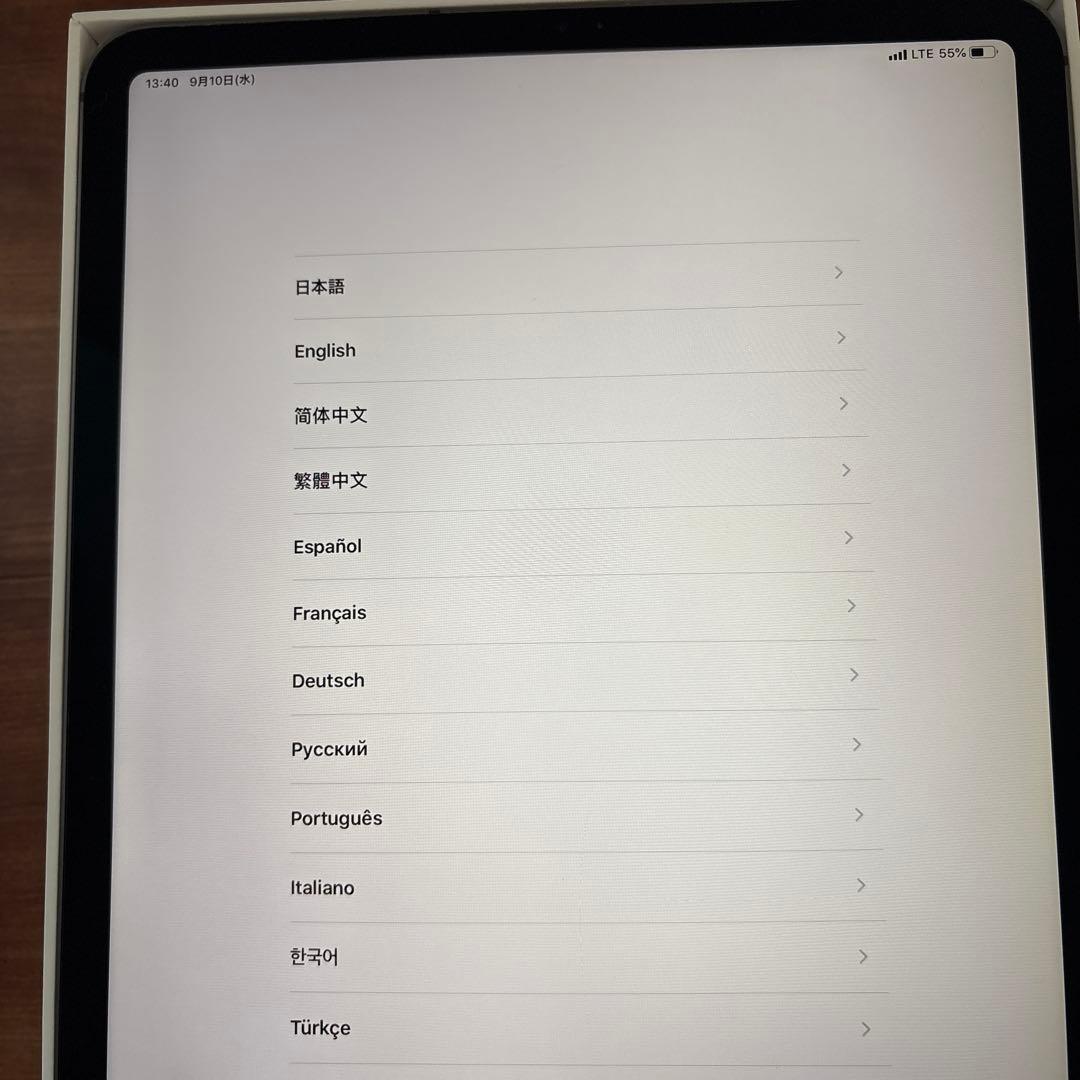 2018年モデル iPadPro11インチ 第1世代 256GB セル