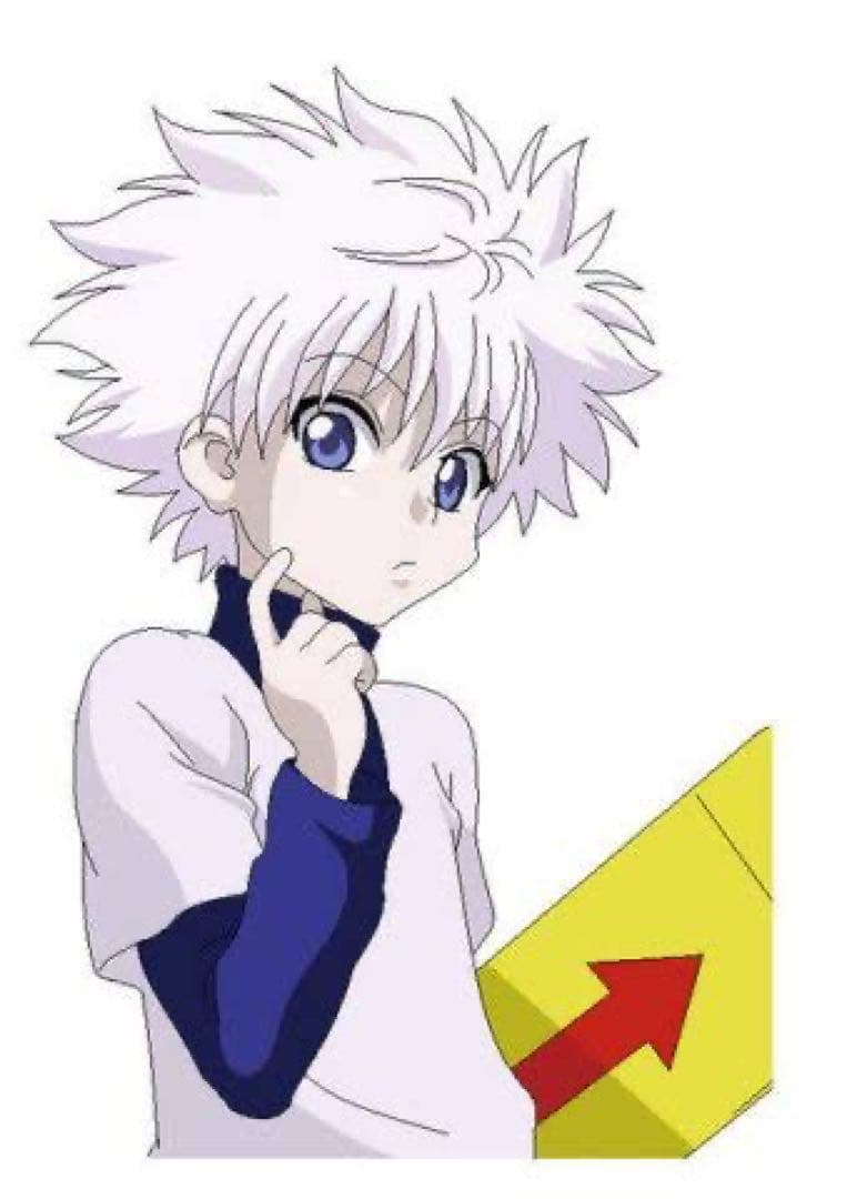 ウィッグオーダー　みこと