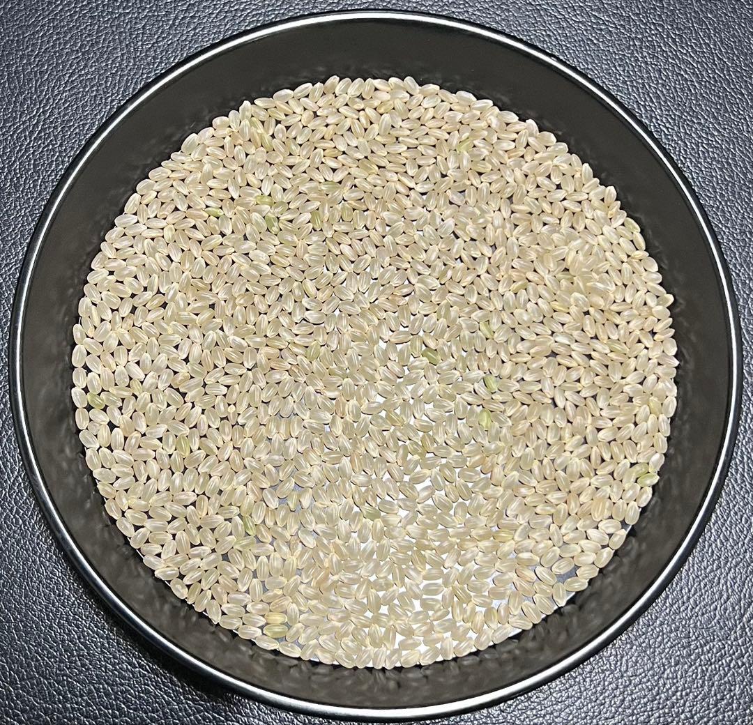 令和7年産 京都丹後米 コシヒカリ 玄米 30kg