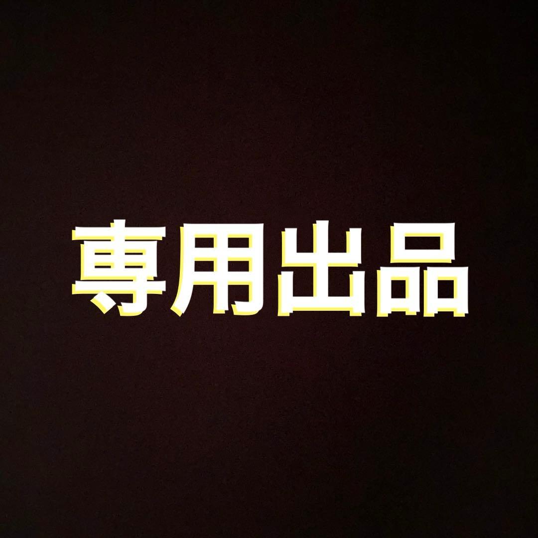 専用出品　みっきー@プロフ必須　様