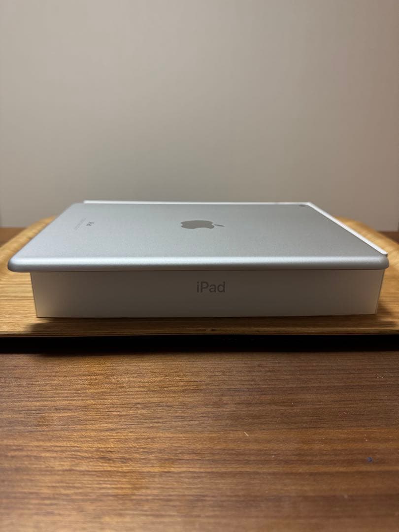 iPad 第6世代 32GB Wi-Fi Apple Pencil