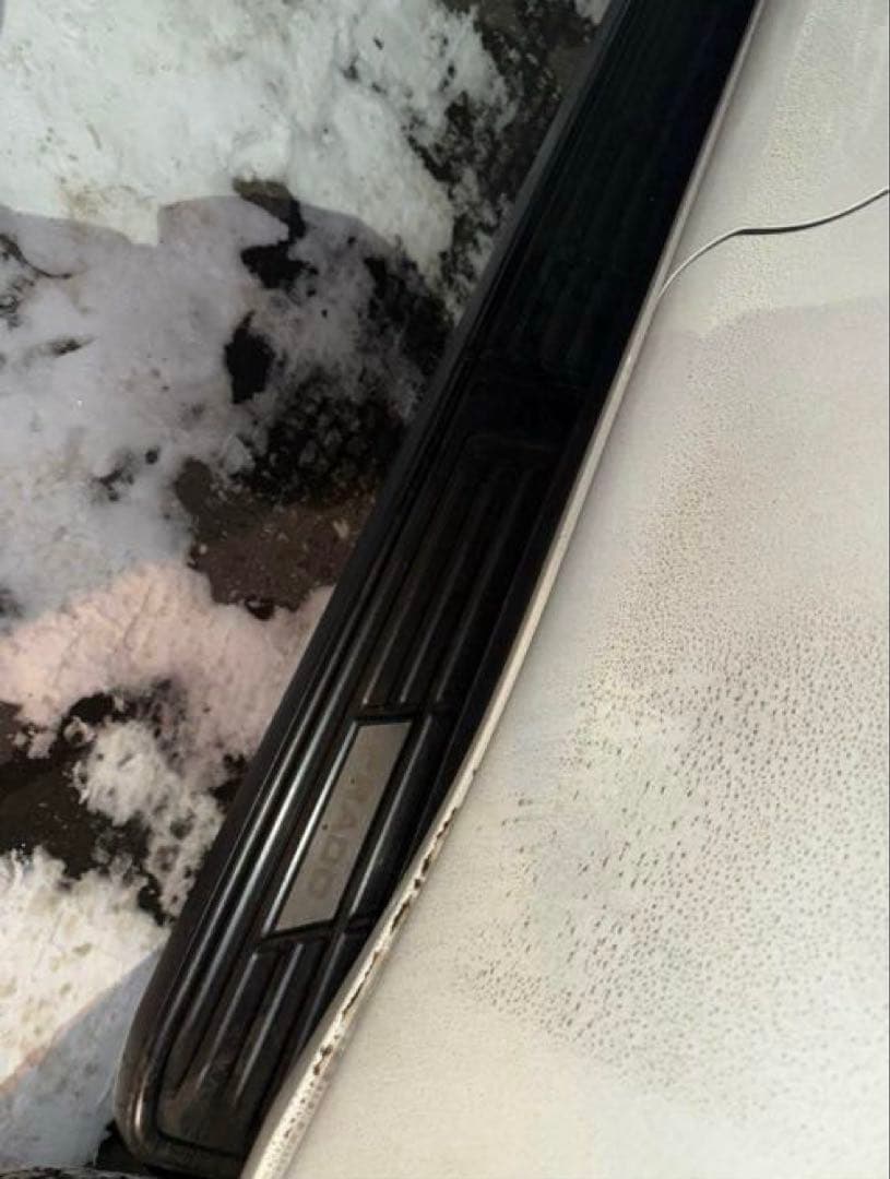 ランクルプラド150 サイドステップカバー　ラーニングボードプロテクション