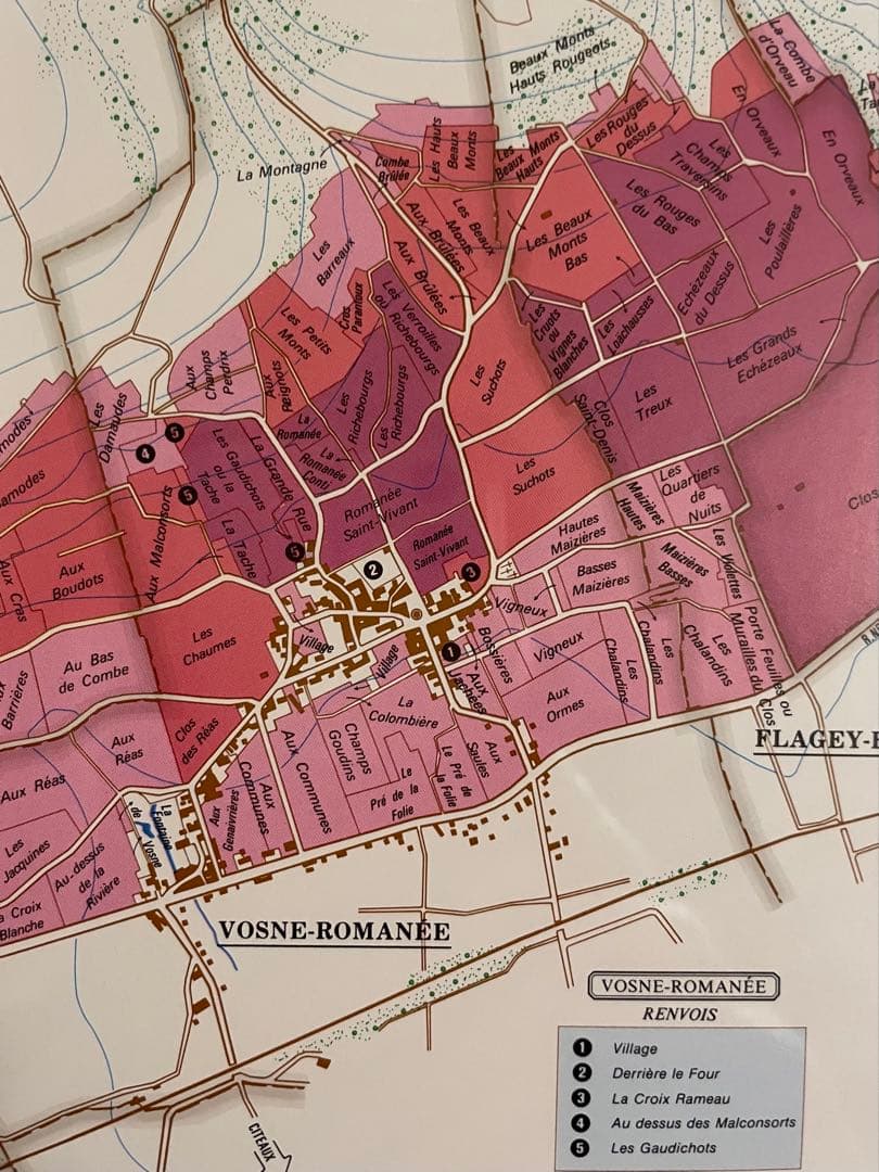 【大型額装美品】ブルゴーニュ（ワイン）南北の詳細な葡萄畑の地図
