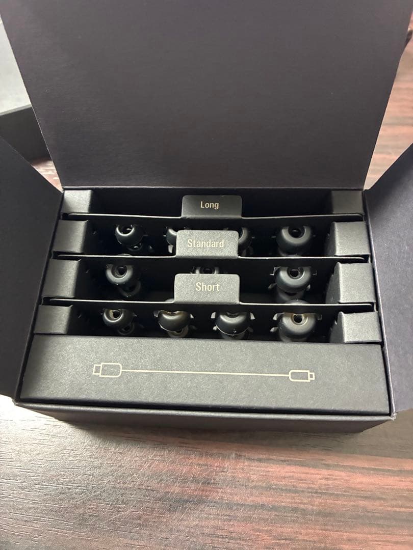 イヤホン audio-technica ATH-TWX9