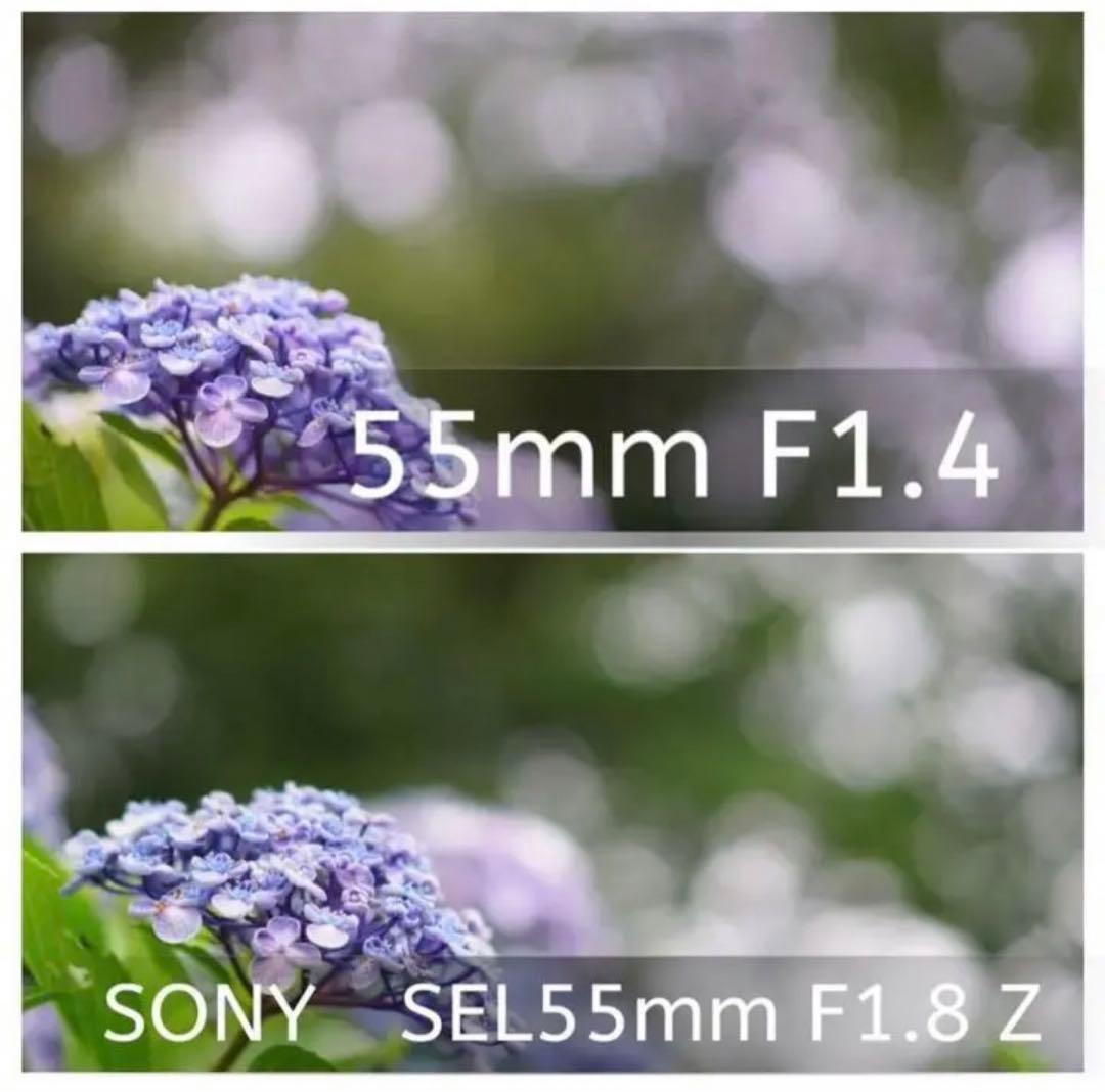 SONYミラーレス用単焦点レンズ55mm F1.4 ボケ味最高！サードパーティ製