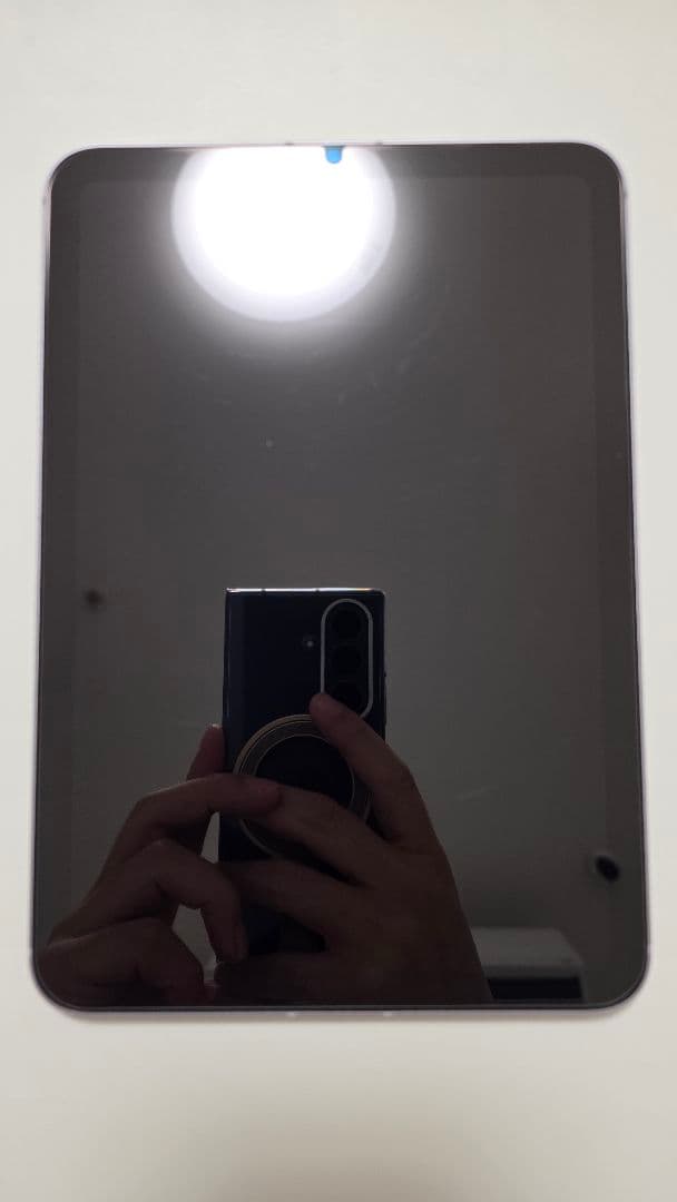 iPad mini（A17 Pro） セルラーモデル 256GB パープル