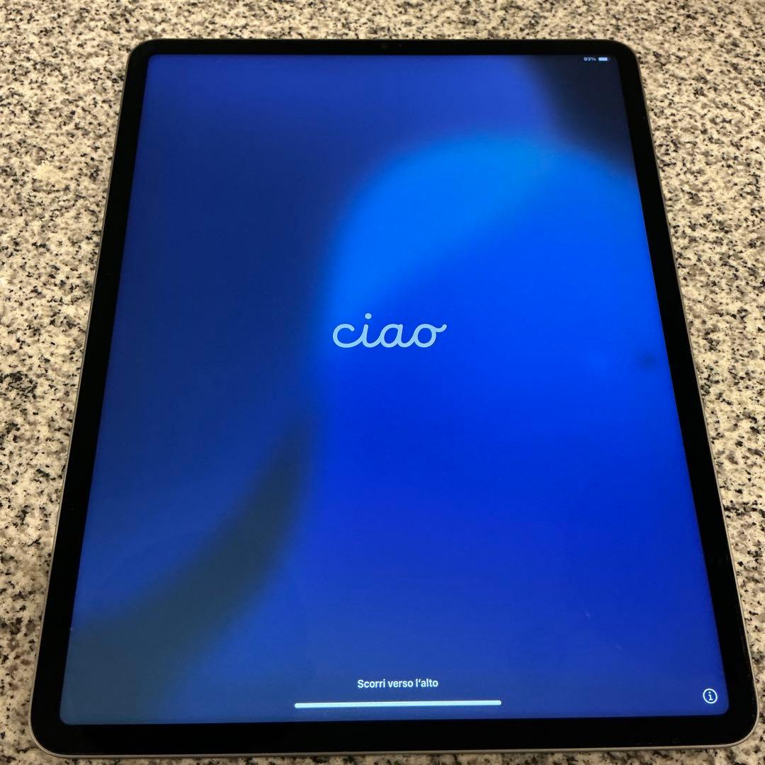 Apple iPad pro 第五世代　256GB スペースグレー 本体