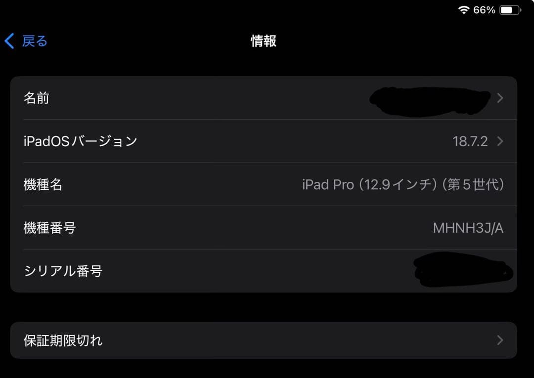 Apple iPad pro 第五世代　256GB スペースグレー 本体