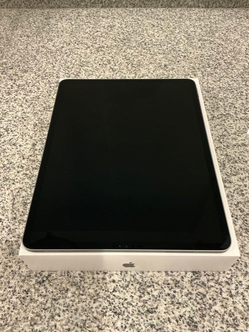 Apple iPad pro 第五世代　256GB スペースグレー 本体