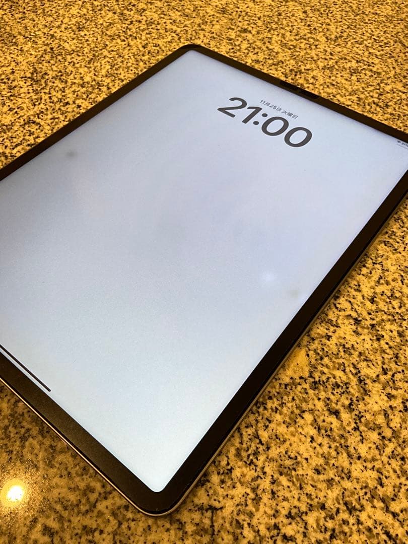 Apple iPad pro 第五世代　256GB スペースグレー 本体