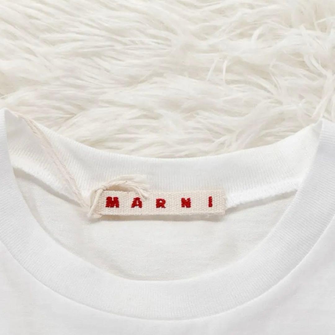 新品タグ付✨ 大人もOK！マルニ　キッズTシャツ　12Y 150 白 25SS