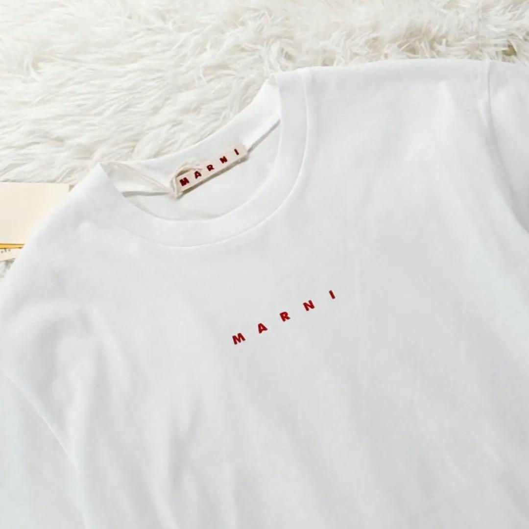 新品タグ付✨ 大人もOK！マルニ　キッズTシャツ　12Y 150 白 25SS