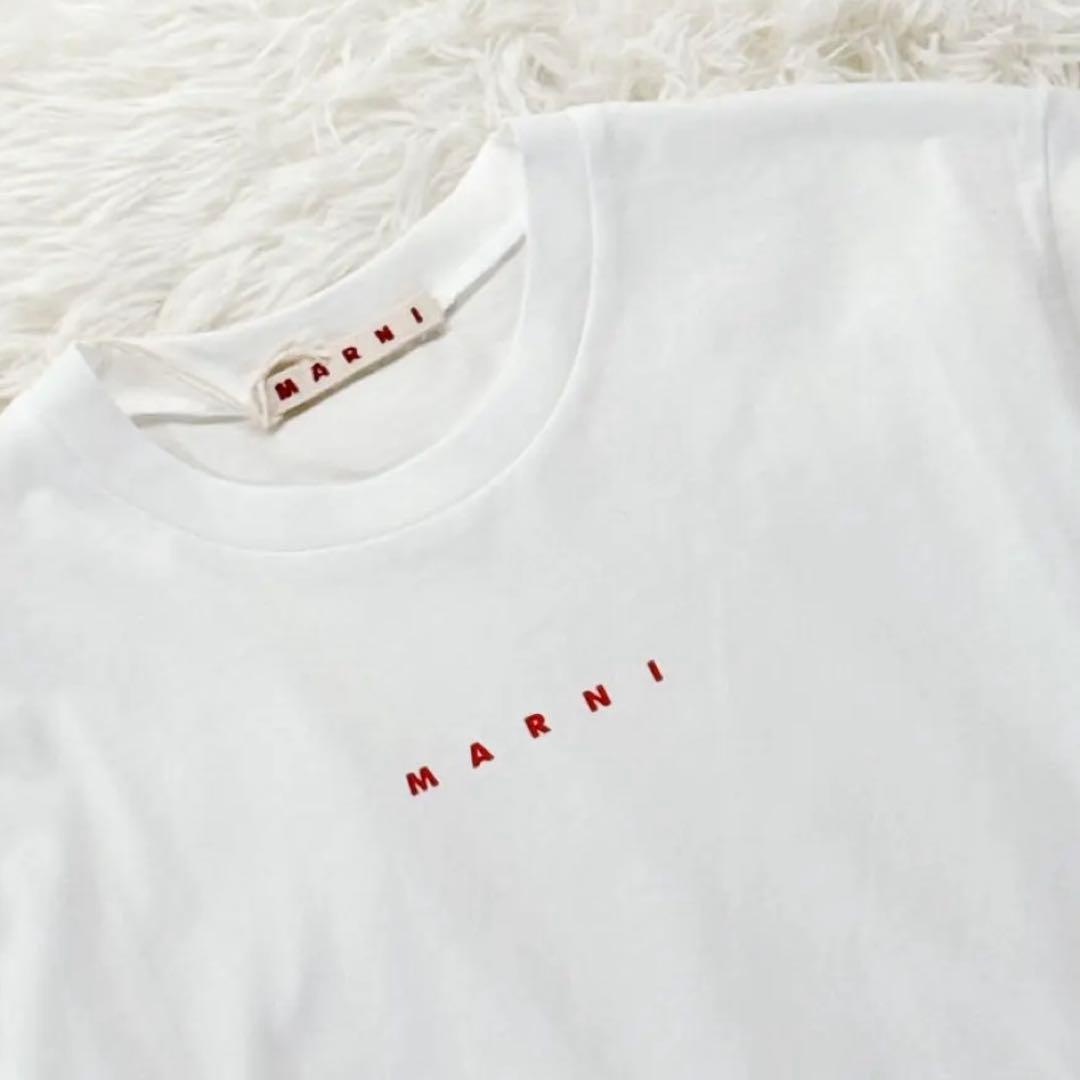 新品タグ付✨ 大人もOK！マルニ　キッズTシャツ　12Y 150 白 25SS