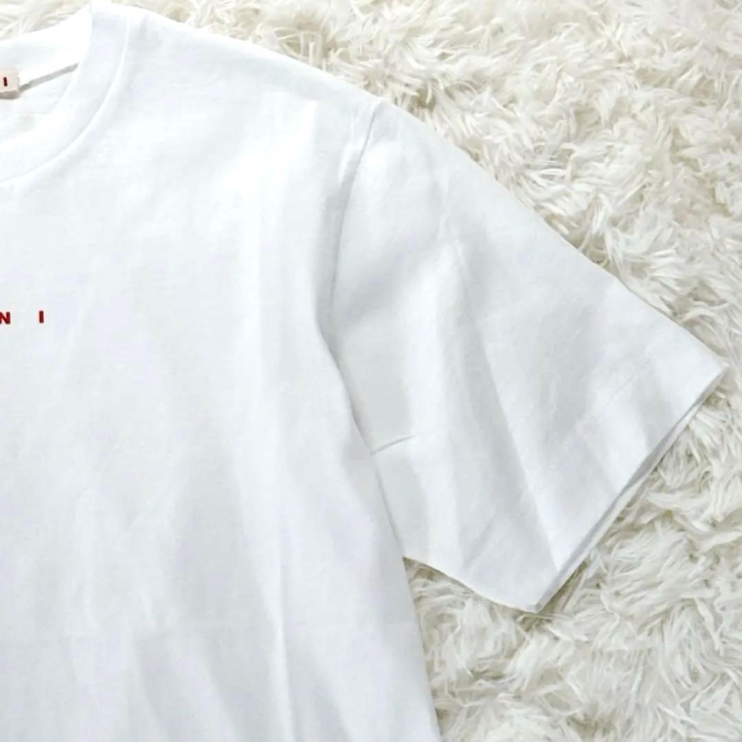 新品タグ付✨ 大人もOK！マルニ　キッズTシャツ　12Y 150 白 25SS