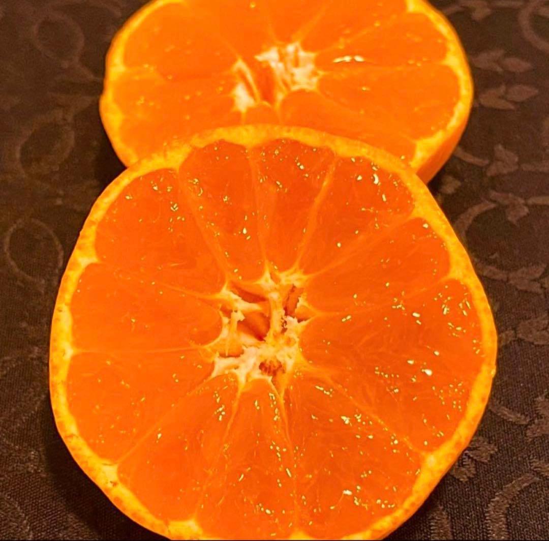229)数量限定　甘すぎる　有田みかん　果物 　みかん　小玉　旬