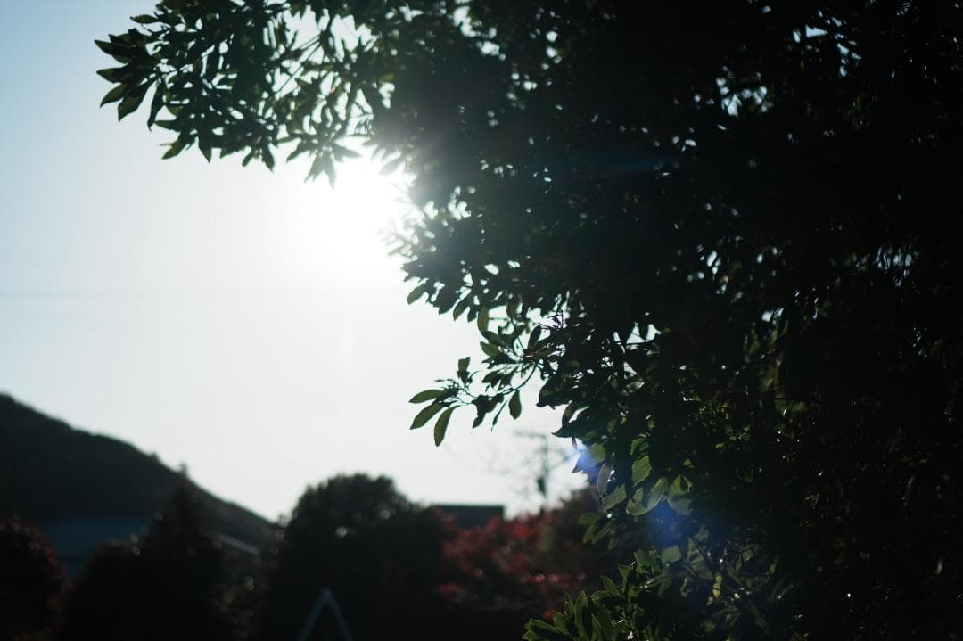 【美品】動作◎ SONY E 35mm F1.8 OSS 神レンズ 174