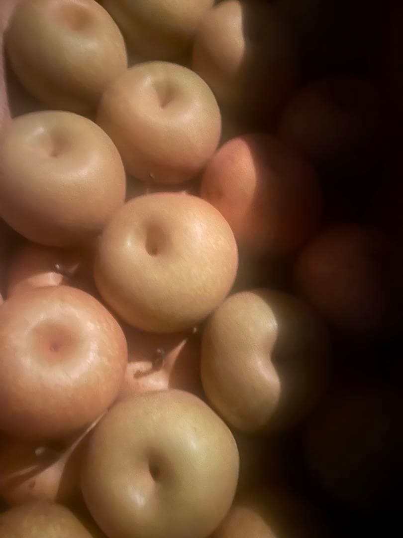 青森県産農薬不使用幸水梨なし10キロ送料無料