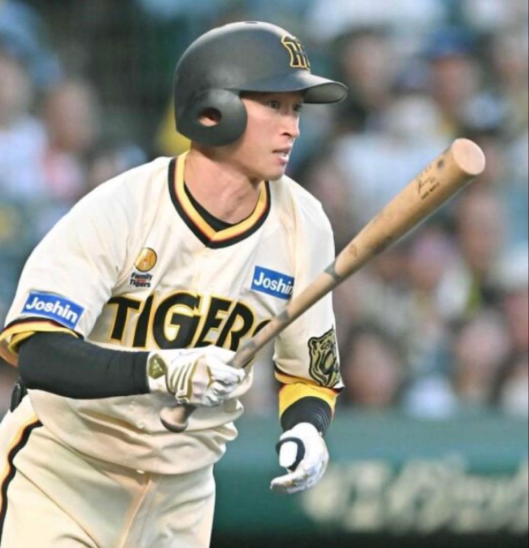 阪神タイガース近本光司Family with Tigers ユニフォームＬサイズ