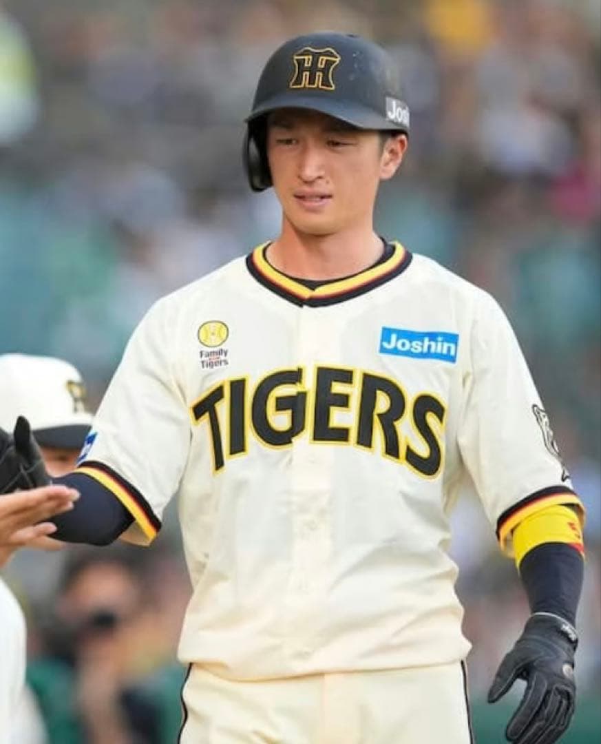 阪神タイガース近本光司Family with Tigers ユニフォームＬサイズ