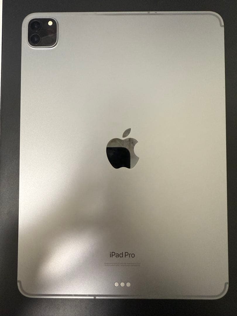 【水没品ジャンク】iPad Pro 11インチ M2チップ（第4世代）