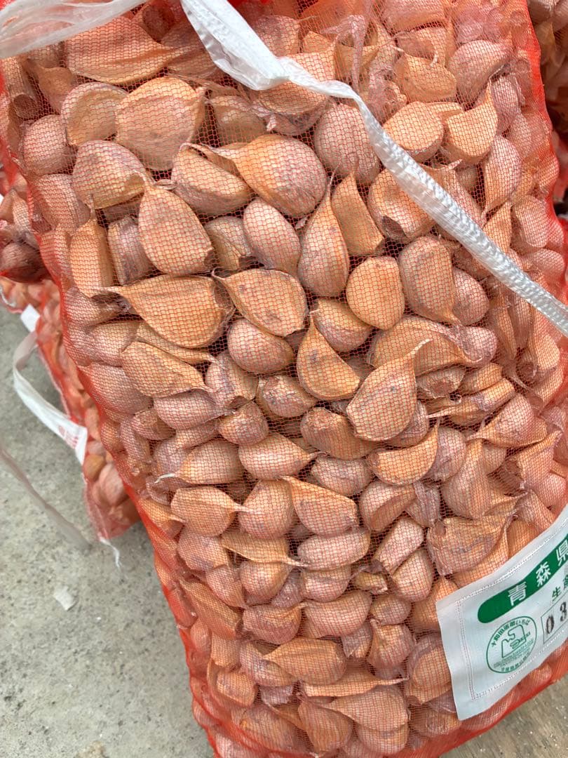 K*N様 青森県にんにくタネ10Kg ML 消毒