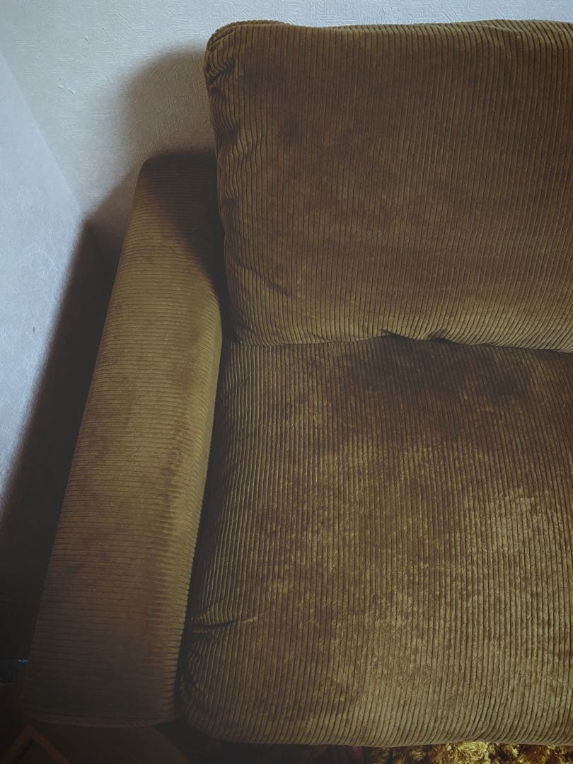 引取割引あり　トラックファニチャー　FK SOFA 1.5-SEATER