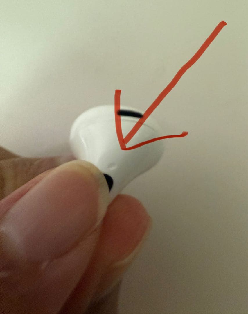 AirPods Pro本体 ホワイト イヤーチップ付き