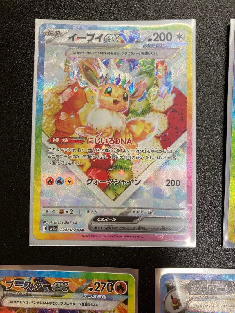 ブイズSAR テラスタルフェスex