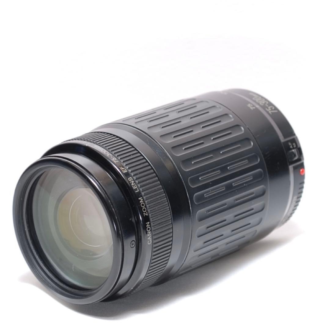 超望遠レンズデビュー✨Canon Kiss X3✨ シングルレンズ✨入門機✨