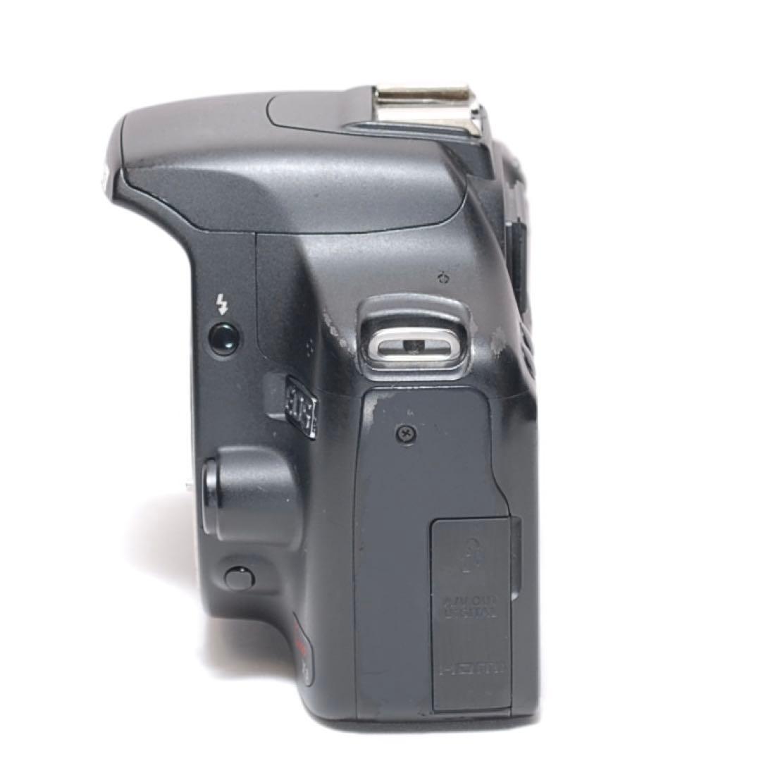 超望遠レンズデビュー✨Canon Kiss X3✨ シングルレンズ✨入門機✨