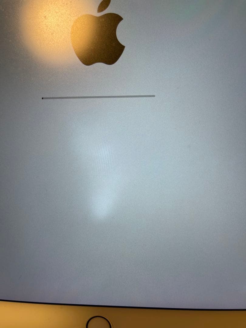 Apple iPad pro 1 10.5 256GB 黒ケース付き