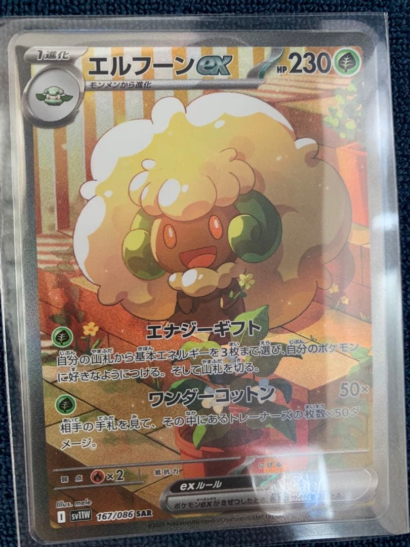 ポケモンカード 14枚セット