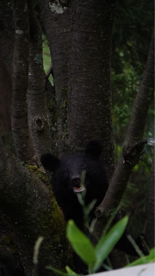 SONY α6400 ダブルズームレンズキットミラーレス一眼