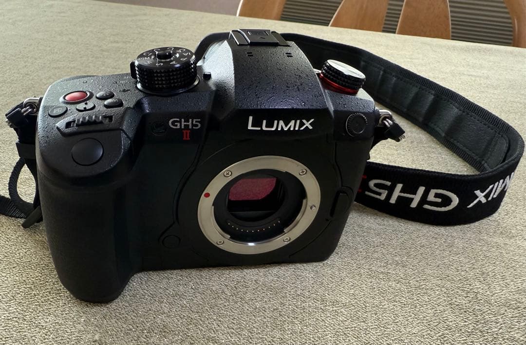 LUMIX GH5 II デジタル一眼レフ 本体標準ズームレンズキット