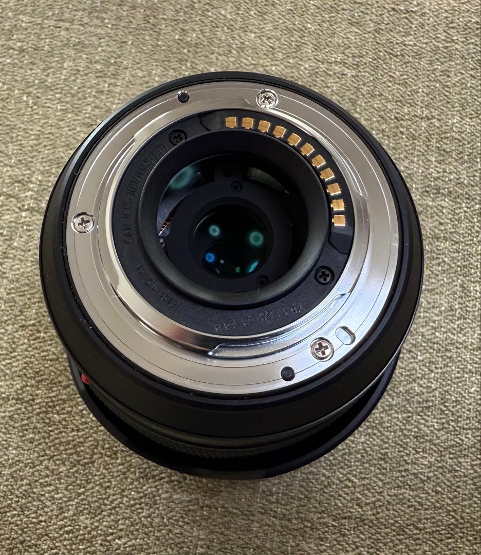 LUMIX GH5 II デジタル一眼レフ 本体標準ズームレンズキット