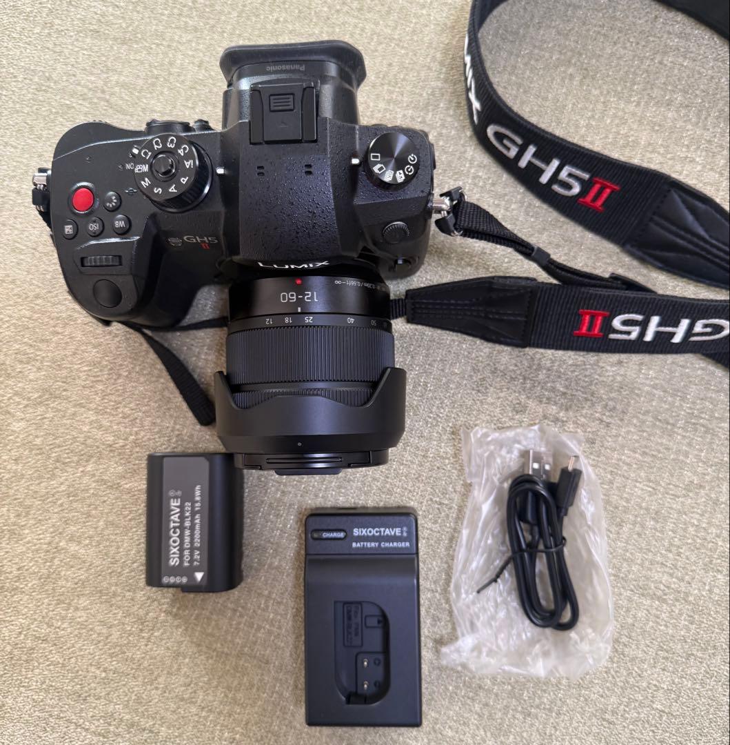 LUMIX GH5 II デジタル一眼レフ 本体標準ズームレンズキット