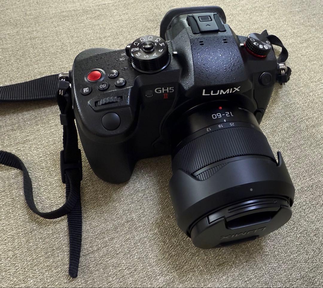 LUMIX GH5 II デジタル一眼レフ 本体標準ズームレンズキット