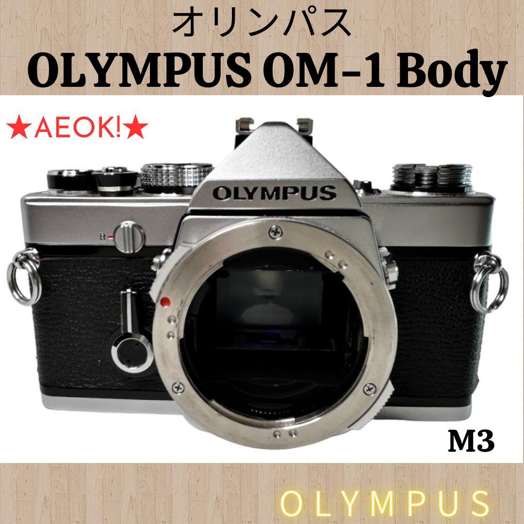 オリンパス OLYMPUS OM-1 ボディフィルムカメラ 露出計OK！M3