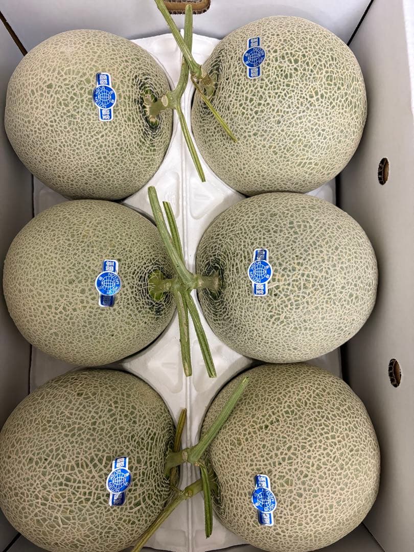 産地直送！アールスメロン❗️6玉入箱込み9キロ前後！2ケース