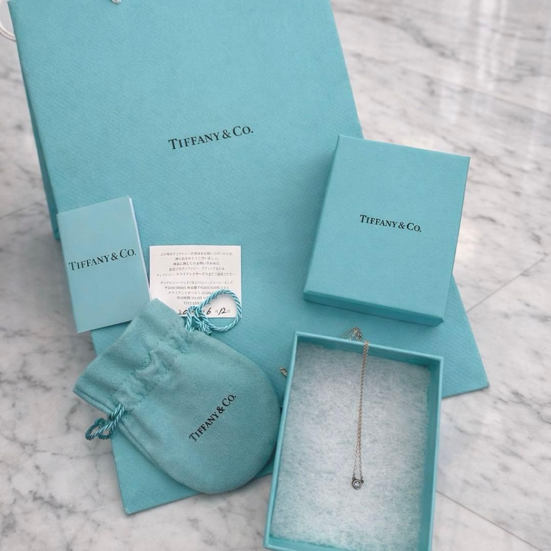 Tiffany& Co. ネックレス