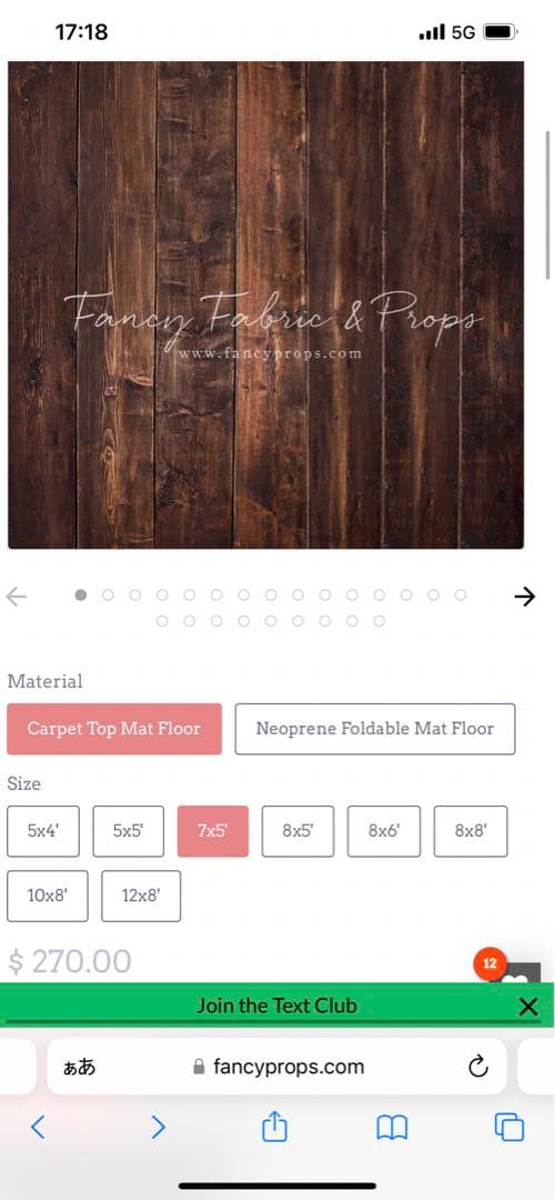 値下げ！背景布とマットフロアのセット