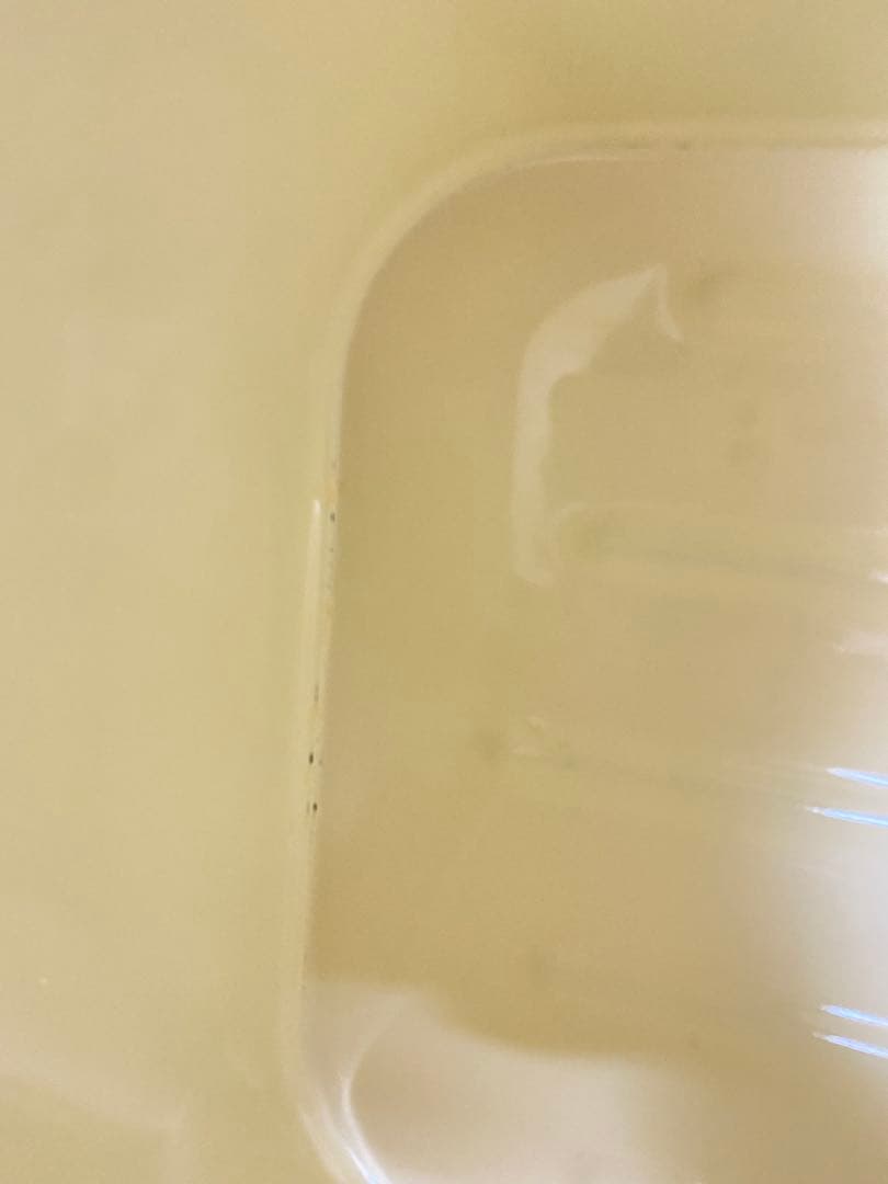 イマン　ダイアナローズ　缶