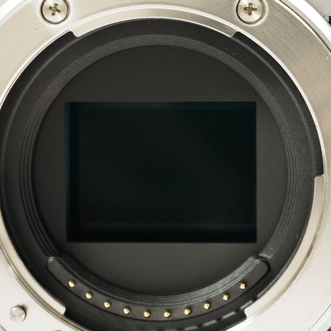 【シャッター1000回未満】FUJIFILM X-M5 ボディのみ