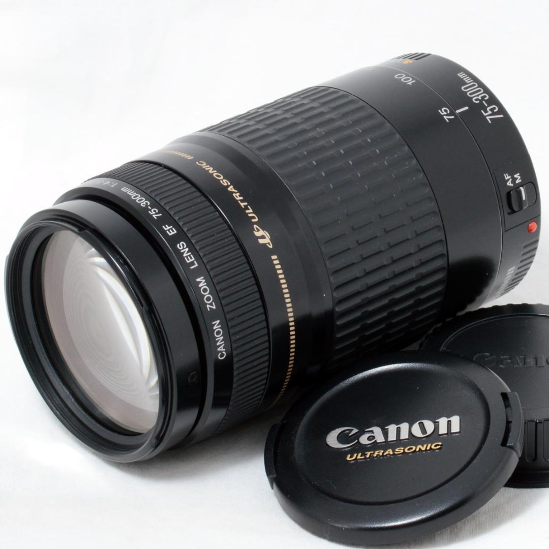⭐️実用品⭐️Canon キャノン EF 75-300mm F4-5.6 USM