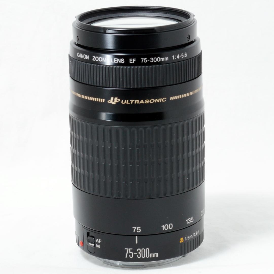 ⭐️実用品⭐️Canon キャノン EF 75-300mm F4-5.6 USM