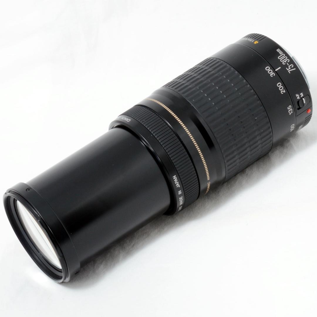 ⭐️実用品⭐️Canon キャノン EF 75-300mm F4-5.6 USM