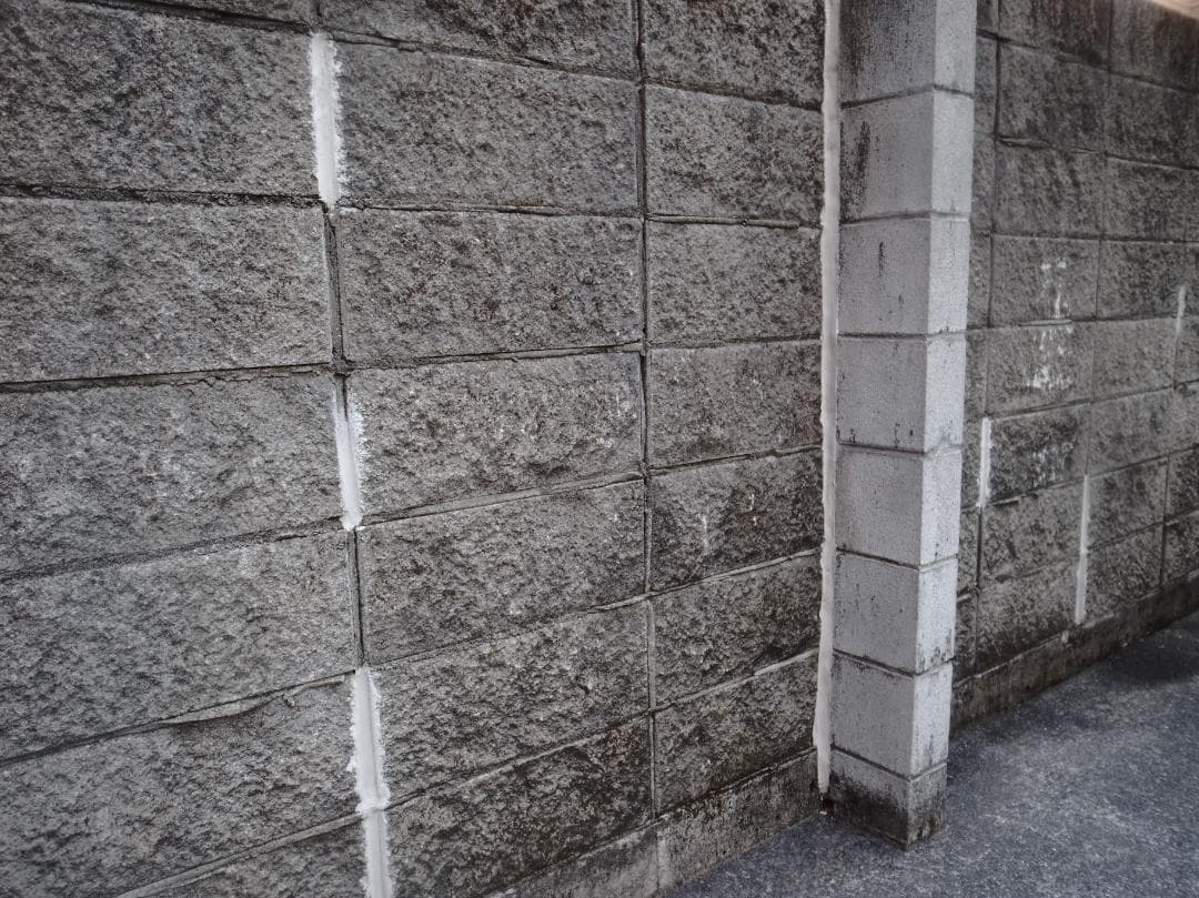 RICOH GR DIGITAL Ⅳ（革ケース・他付属品付）