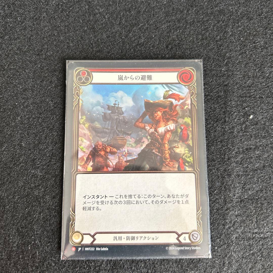 FAB嵐からの避難/Shelter from the Storm HNT RF日