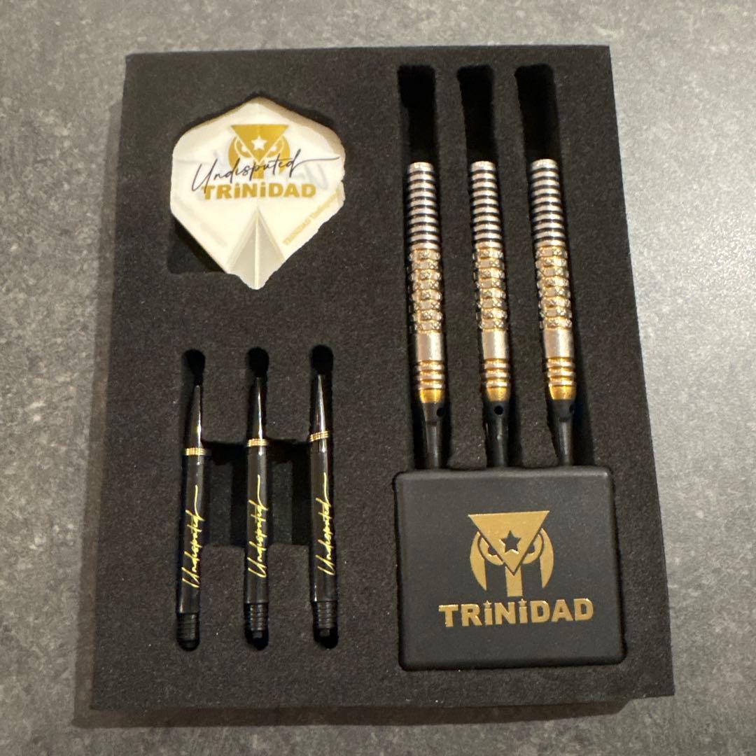 RICARDO α リカルド トリニダード ダーツ 浅田斉吾モデル