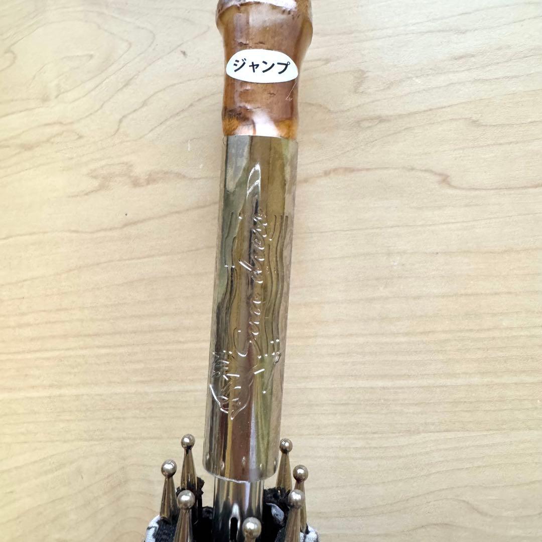 新品★サンドレス　晴雨兼用パラソル　日傘　1級遮光　遮熱　ワンタッチ　ボタニカル